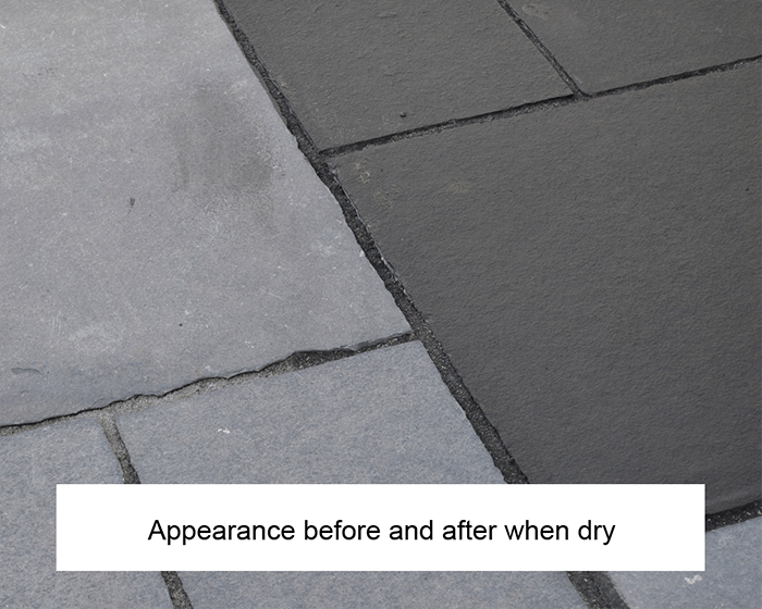 ECOPROTEC Black Stone Color Restore Seal 4