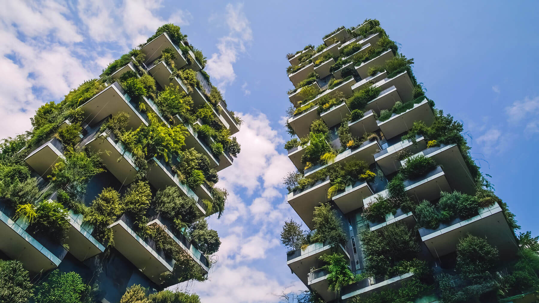 Green-Building-Al-Shabib-UAE-1