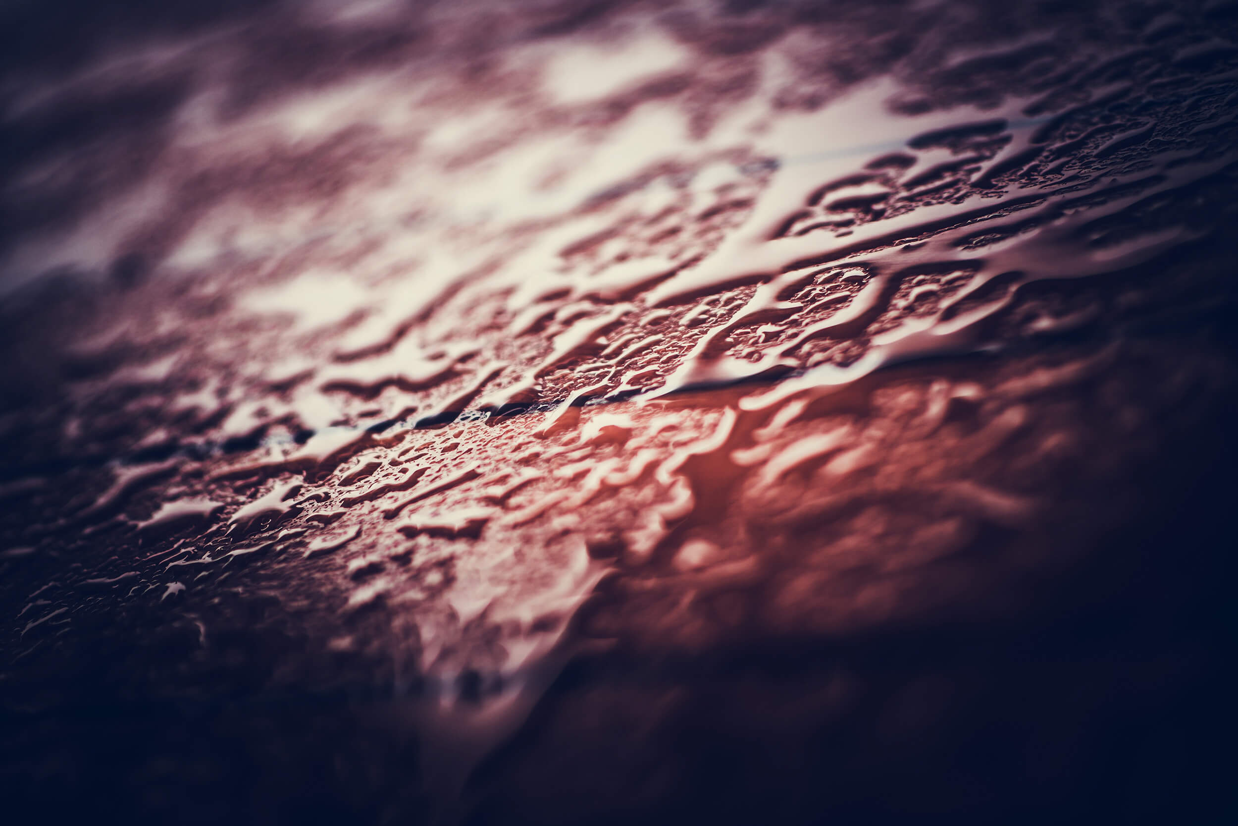 Sealer-&-Water-Proof-BG