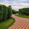scenic garden pathway in delhi park