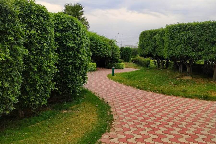 scenic garden pathway in delhi park