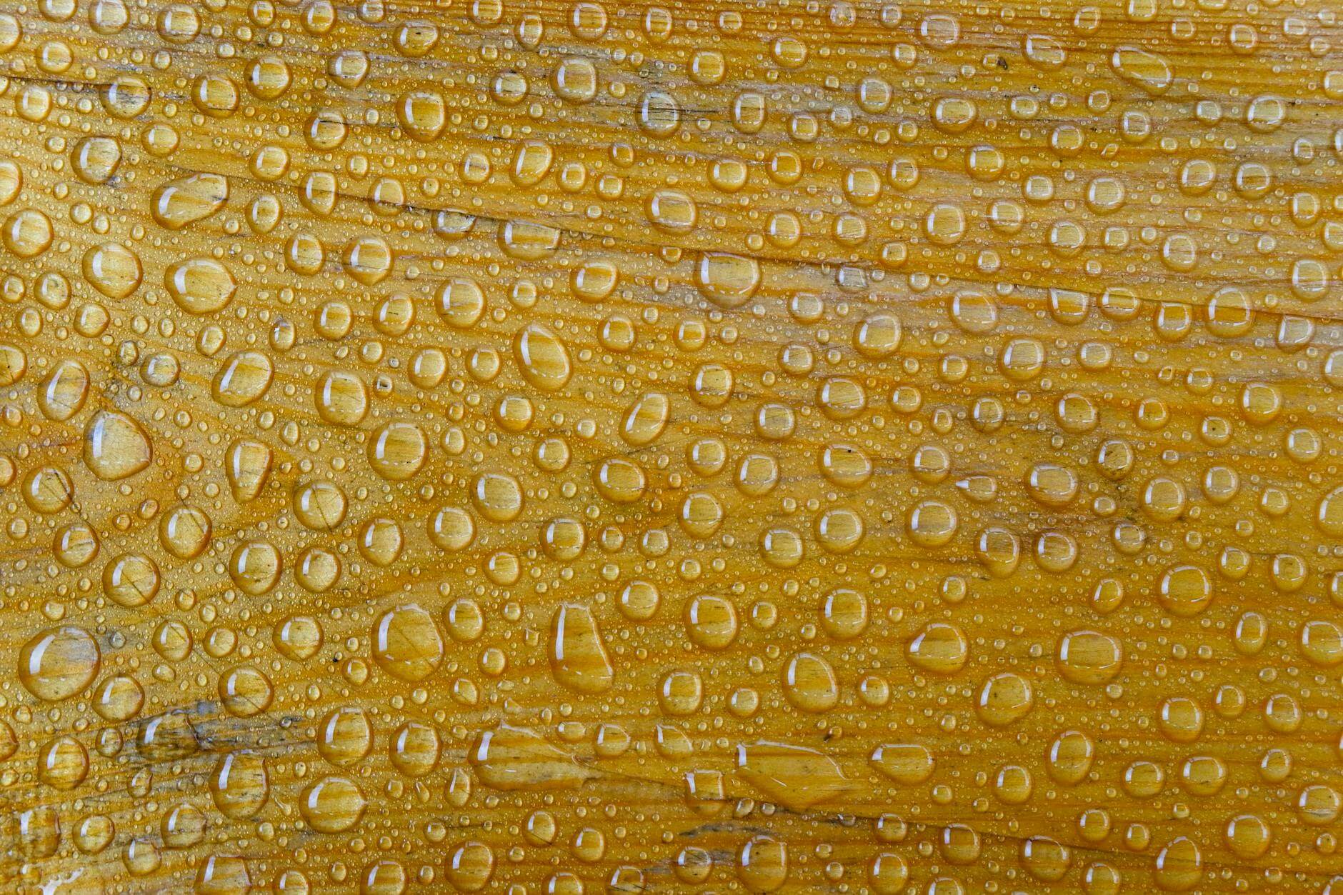 water droplets on wooden surface with yellow hue